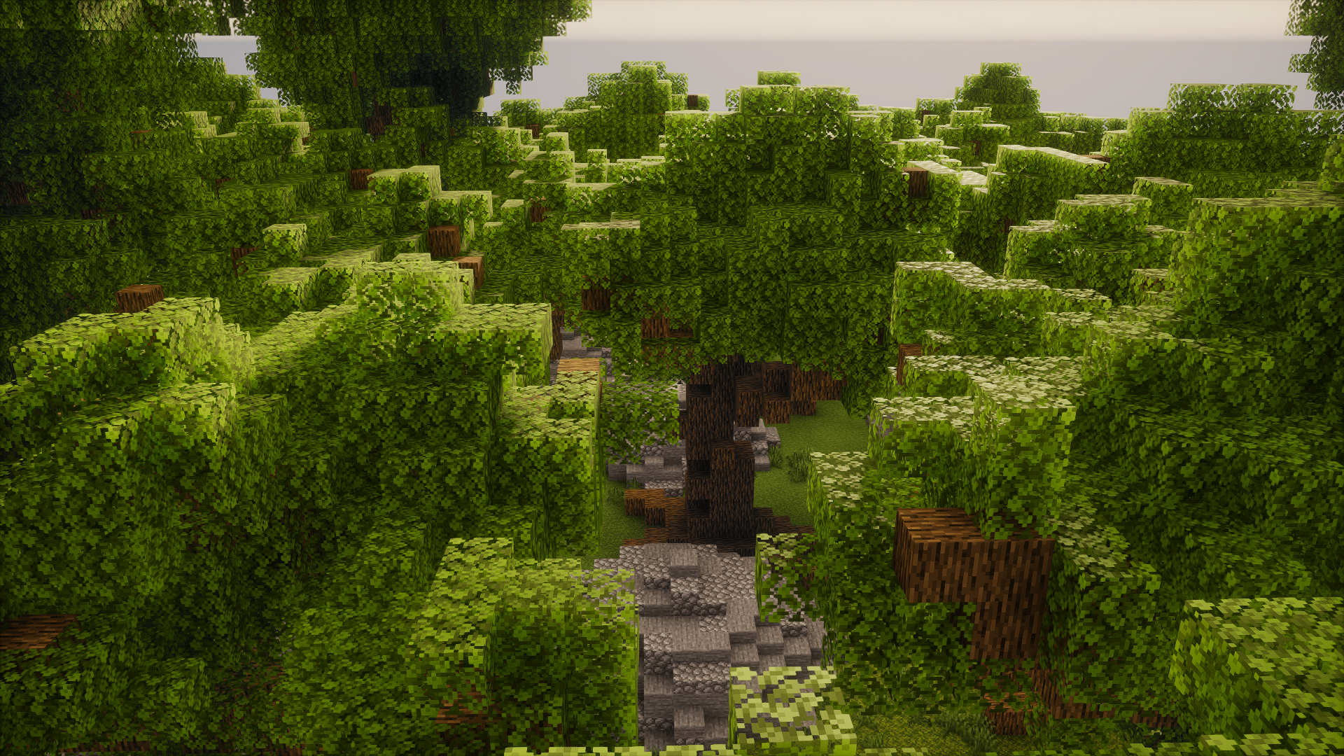 Build preview
